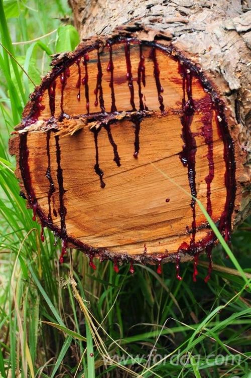 产品 产品 锯材级原木 起源大陆 非洲 种类(贸易名称)