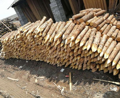 景观木桩多少钱 宣城宏文木业 苏州景观木桩
