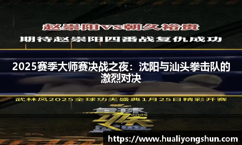 2025赛季大师赛决战之夜：沈阳与汕头拳击队的激烈对决